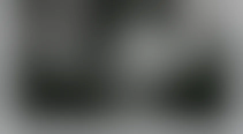 Перед судом истории