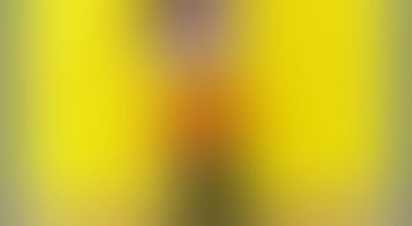 Где я его видел?