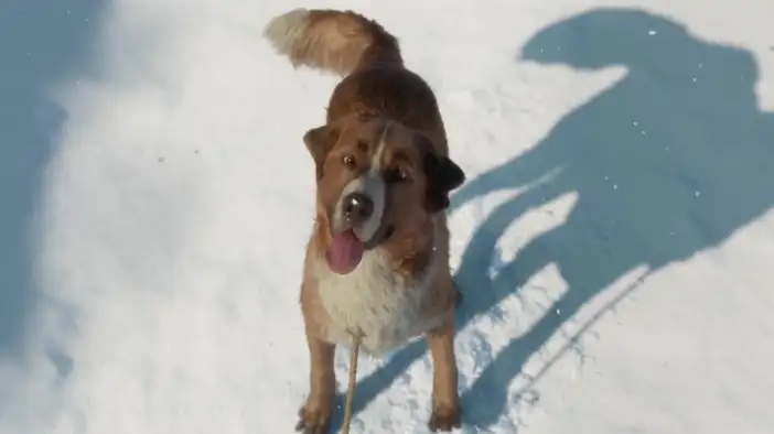 Трейлер (английский язык)