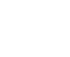 Спасение детёнышей гризли