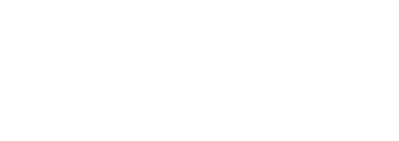 Короче говоря, 100 дней без законов.