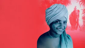 Маленький погонщик слонов