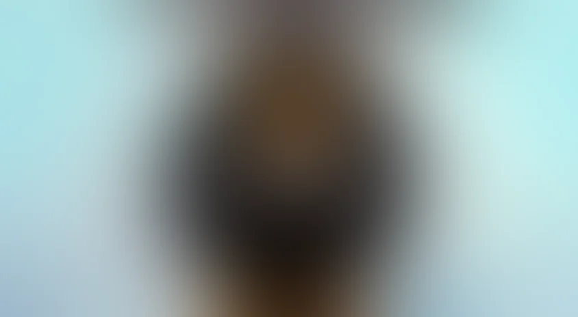 Самый, самый, самый, самый