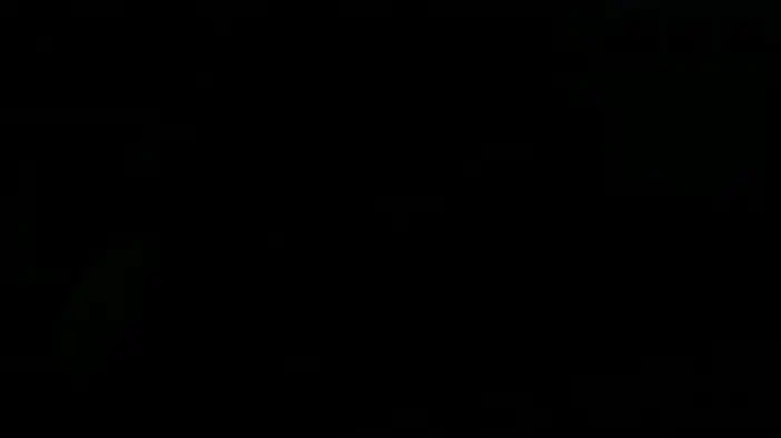 Трейлер (русский язык)