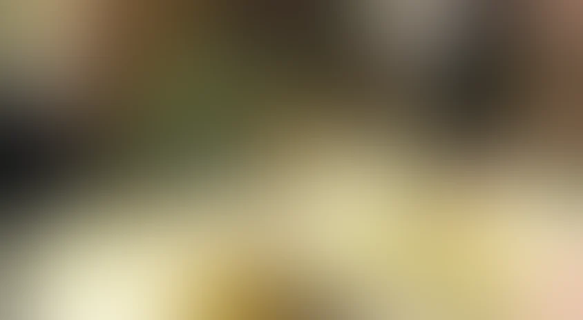 Рождественская сказка