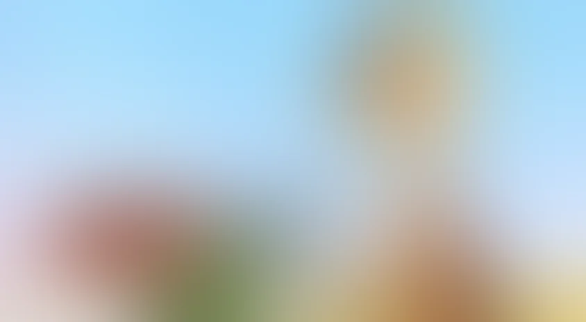 Приключения Хомы