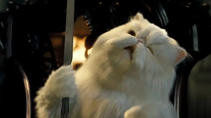 Фрагмент 2 (английский язык)