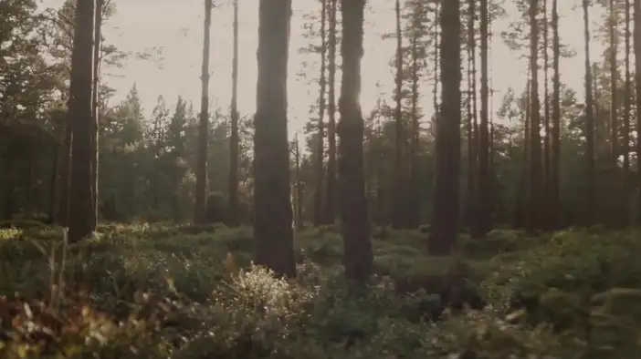 Трейлер (английский язык)