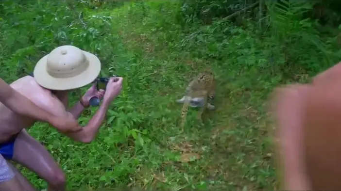 Трейлер (французский язык)