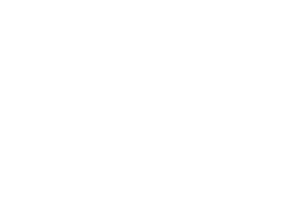 Дикие кошки