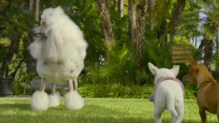 Трейлер (дублированный)