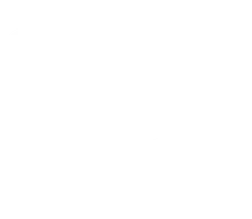 Океан чудес