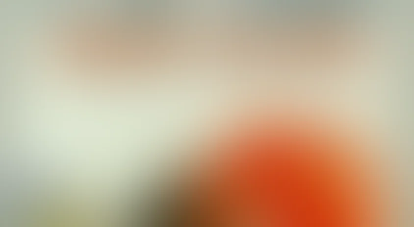 Как львенок и черепаха пели песню