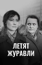 Летят журавли