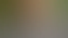 Несколько дней из жизни И.И. Обломова