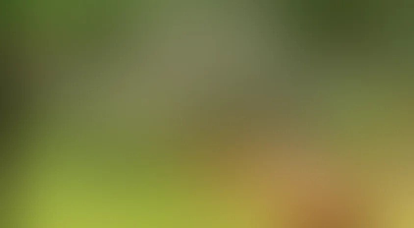 Змеи. Тайны самых смертоносных созданий на земле