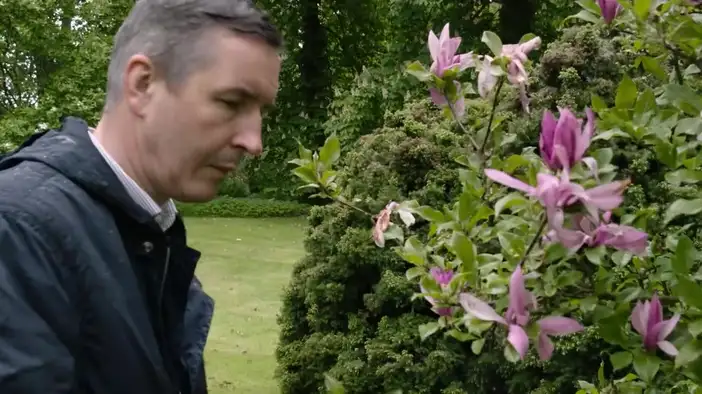 Трейлер (английский язык)