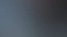 To'liq sho'ng'ish rejimi (To'ShRe)