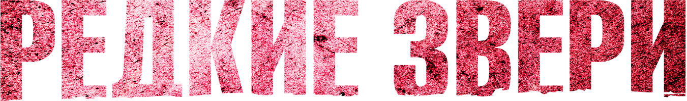 Noyob hayvonlar (kinolar 2019) - o‘zbek tilida tarjima