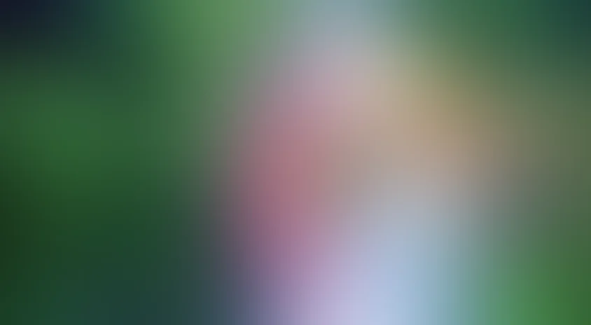 Джунгли 3D: Волшебство другого мира