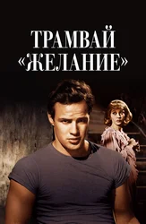 Трамвай «Желание»
