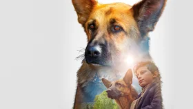 Моя собака – герой