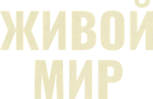 Живой мир