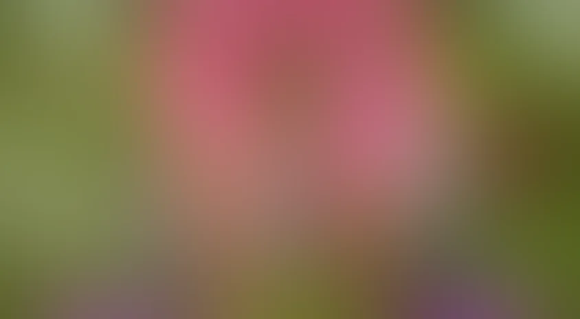 Блондинка и блондинка