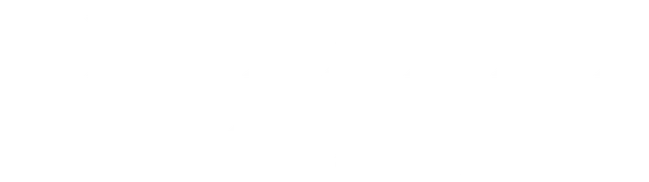 Незваный гость (фильм 2020)