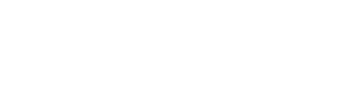 Незваный гость (Фильм, 2020)