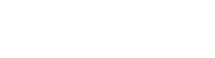 Последний шанс со Скалой Джонсоном (2017)