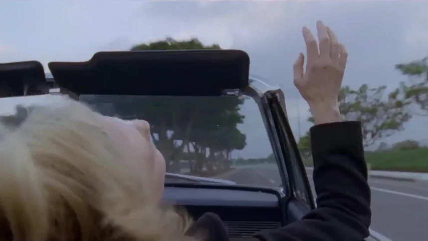 Рыцарь кубков