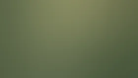 Вас ожидает гражданка Никанорова