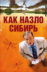 Как назло Сибирь