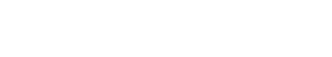 Ziyoratchi (seriallar 2021) - o‘zbek tilida tarjima