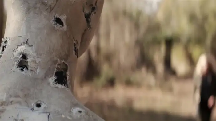 Трейлер (английский язык)