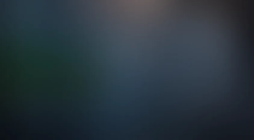 Поездка в Америку 2