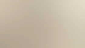 Белый пудель