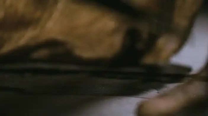 Трейлер (английский язык)