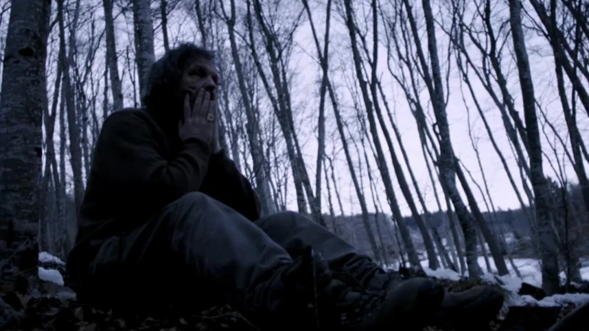 Ледяной лес