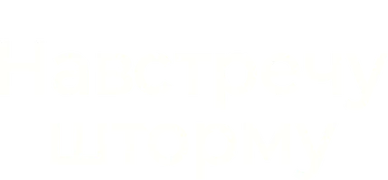 Навстречу шторму (Amediateka) (2009)