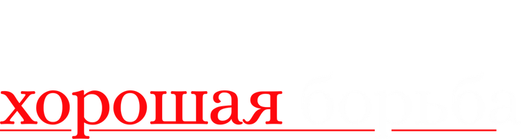 Хорошая борьба (2017)