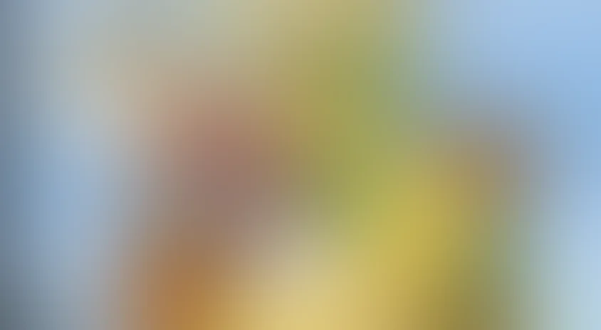 Пляжный пикник