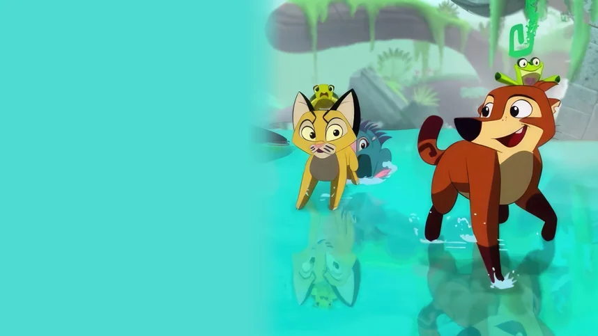 Коати. Легенда джунглей