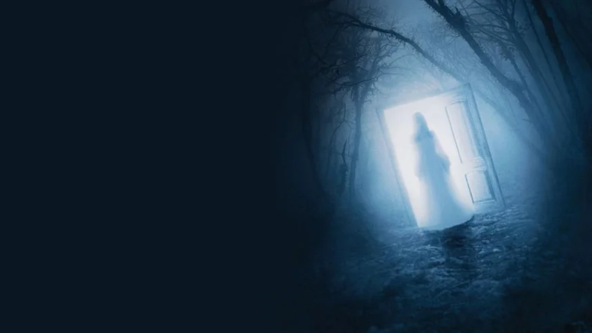 Дверь в лесу