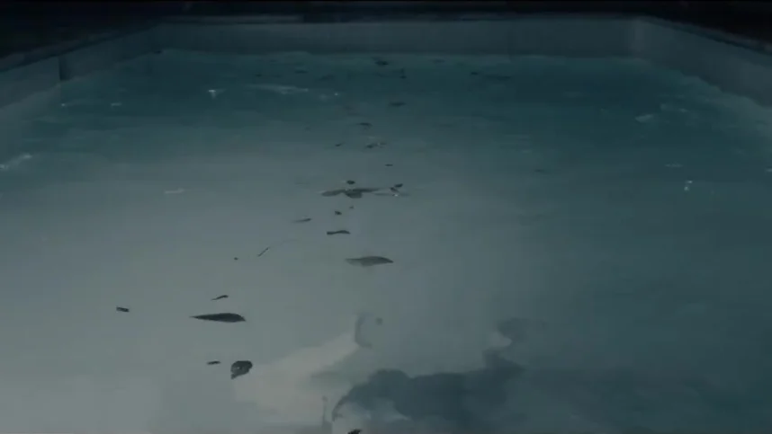 Темнее ночи