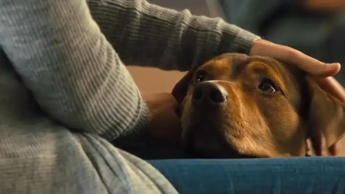 Фрагмент 3 (английский язык)