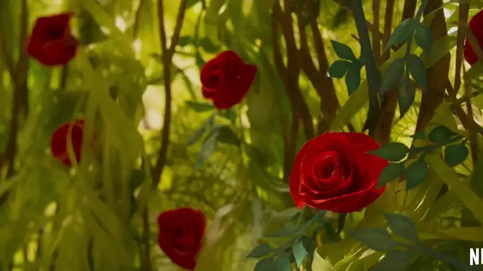 Американский трейлер (английский язык)