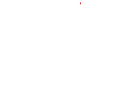Цветок фасоли
