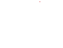 Цветок фасоли